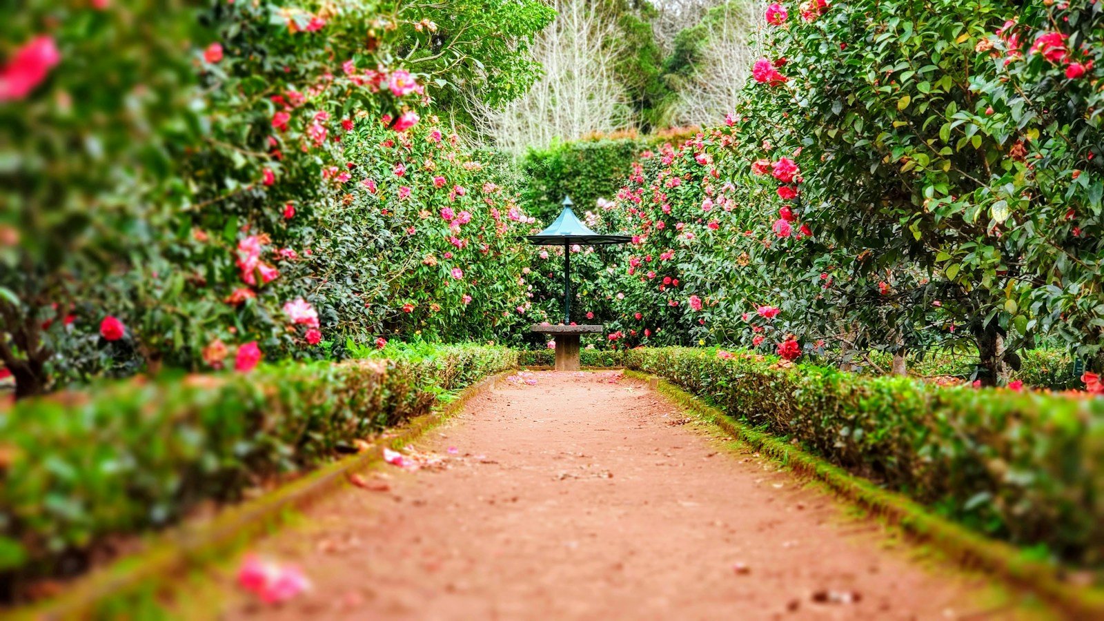 Curzon Park & People’s Park: British Era Royal Gardens & Green Lungs of Mysuru