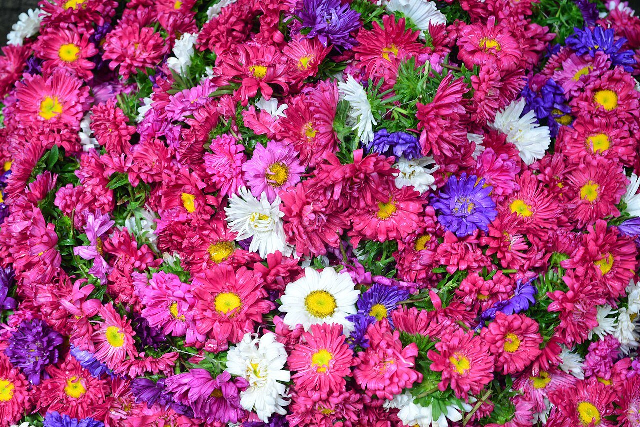 Devaraja Market flower garlands