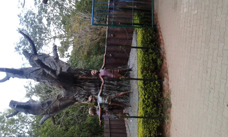 Lingambudhi Lake Botanical Garden Butterfly Park Mysore