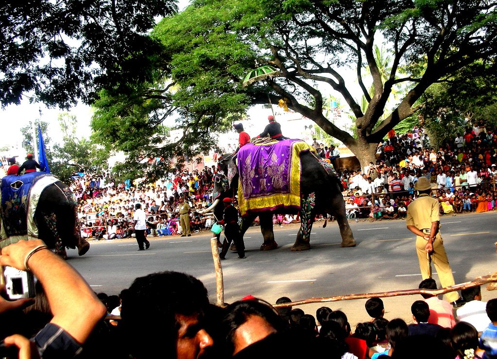 Gold Rate Today Mysore: 22K & 24K Live Prices, Hallmark Rules & Best Jewellers in Ashoka Road (2026 Guide)