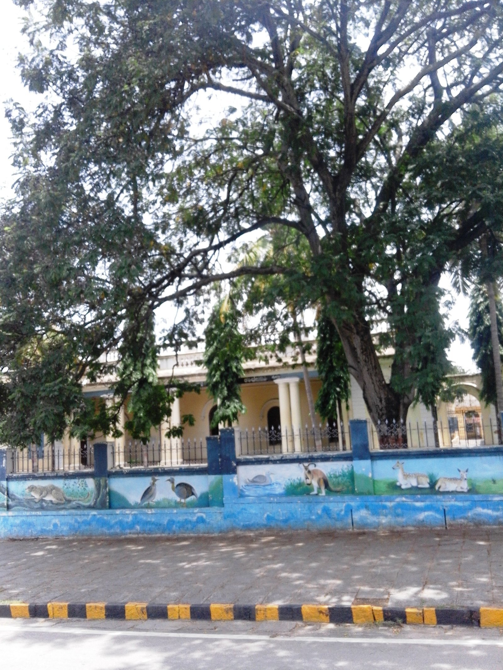 Traditional Vedic Pathashalas & Maharaja’s Sanskrit College in Mysuru